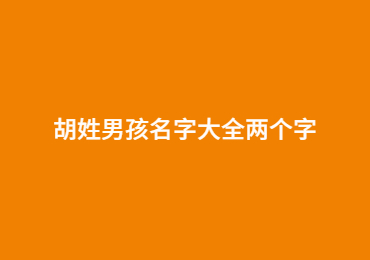 胡姓男孩名字大全兩個字