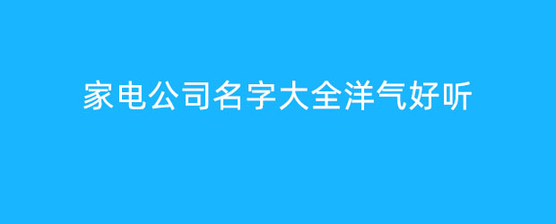 家電公司名字大全洋氣好聽