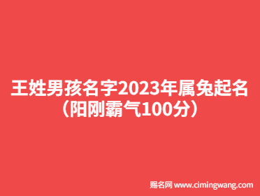 王姓男孩名字2023年屬兔起名（陽(yáng)剛霸氣100分）