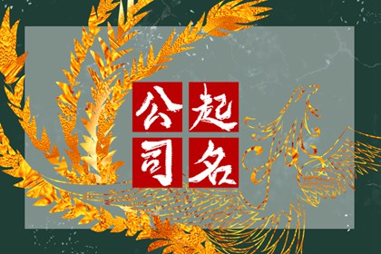 網(wǎng)絡(luò)科技公司起名免費2024