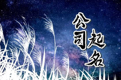 適合軟件開發(fā)公司的名字（精選500個）